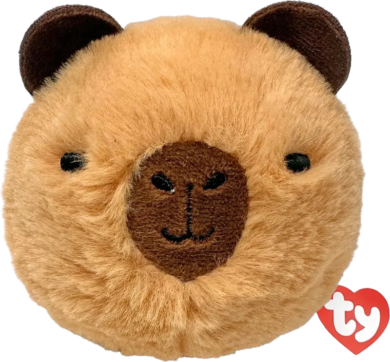 CAPYBARA - bnce