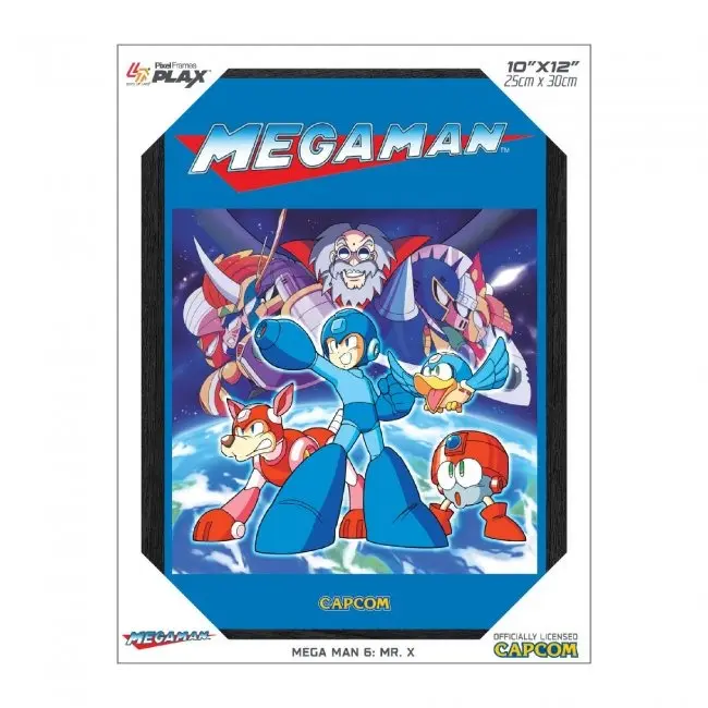 Mega Man 6